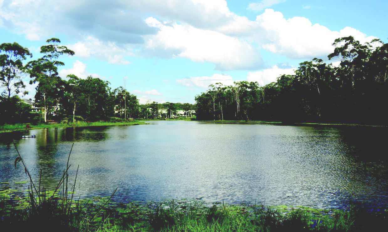 Springfield Lakes
